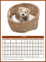 Mai 1456 Kalender der Serie „Hunde“