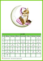 Juni 2008 Kalender der Serie „Katzen“