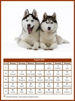 August 1456 Kalender der Serie „Hunde“