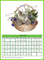Oktober 2008 Kalender der Serie „Katzen“