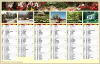 2008 halbjährlicher Kalender, ein Foto pro Monat