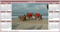 Halbjahreskalender 2008 zweispaltig mit Mittelfoto