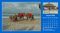 Kalender monatlich 2008 zwei Urlaubsfotos